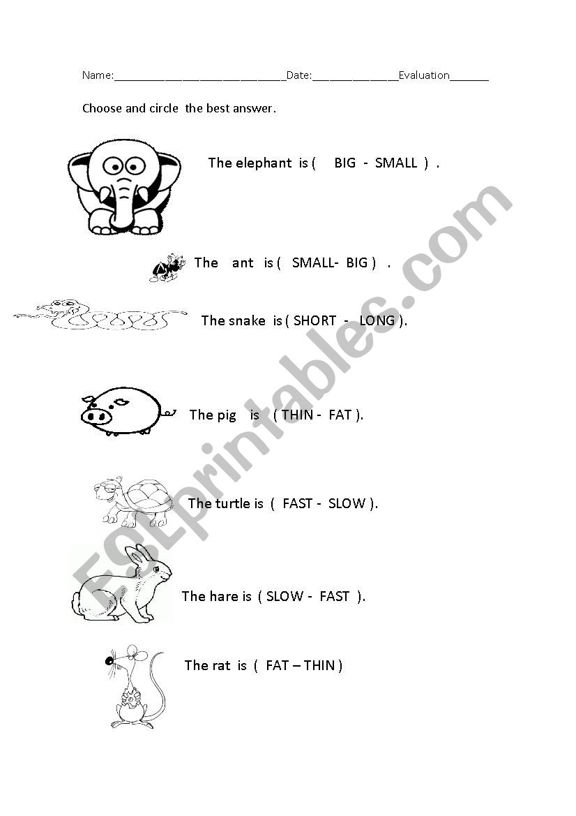 ADJECTIVES worksheet