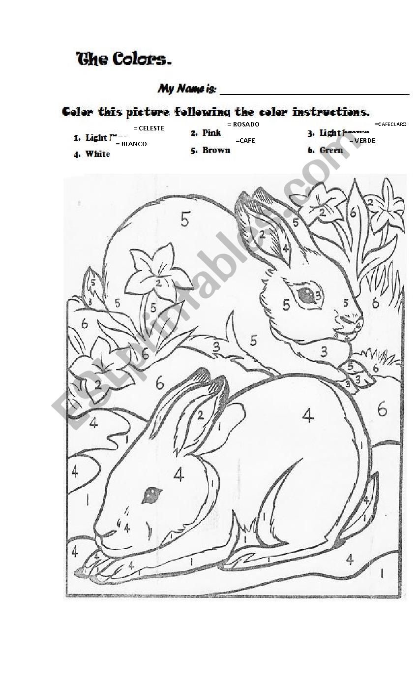 COLORS and ANIMALS worksheet