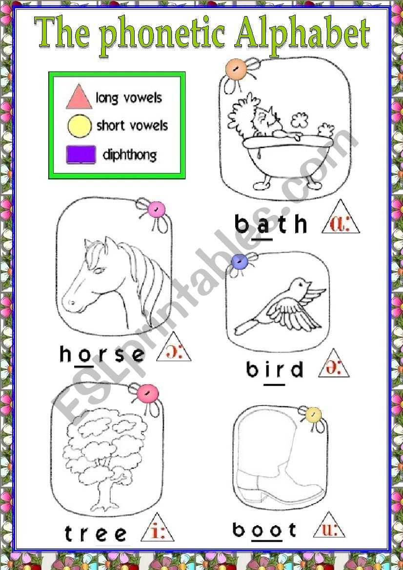 The phonetic alphabet_vowels worksheet