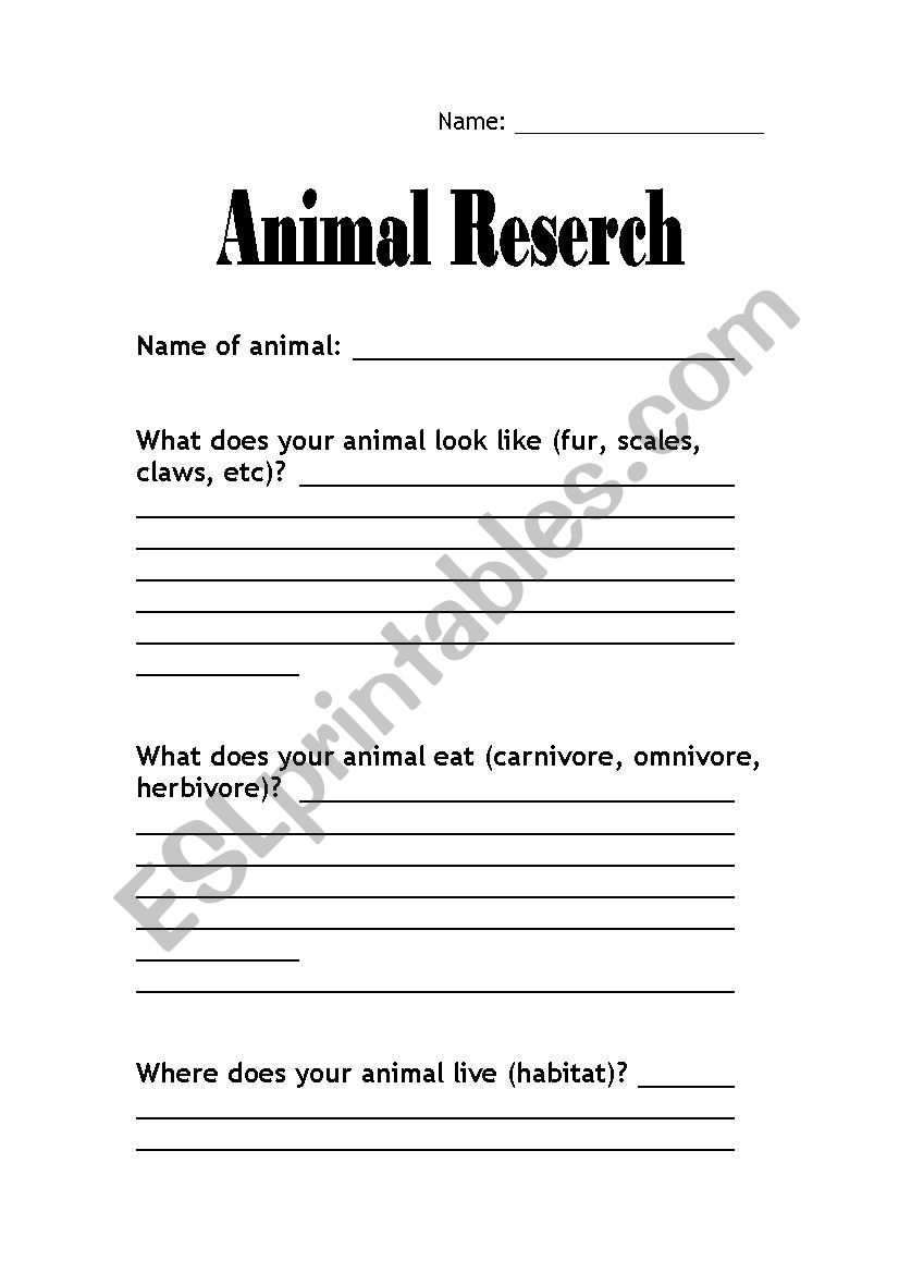 Animal Research Sheet worksheet