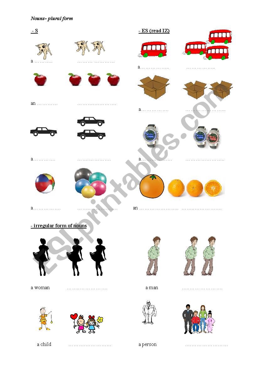 Regular and irregular plural forms of nouns