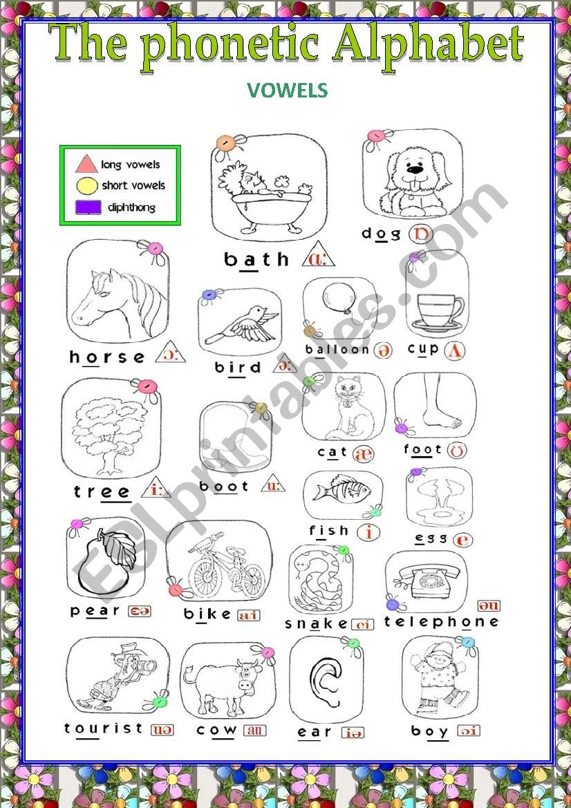 The phonetic alphabet poster ( VOWELS)