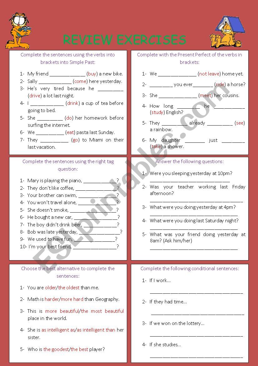 Review Exercises worksheet