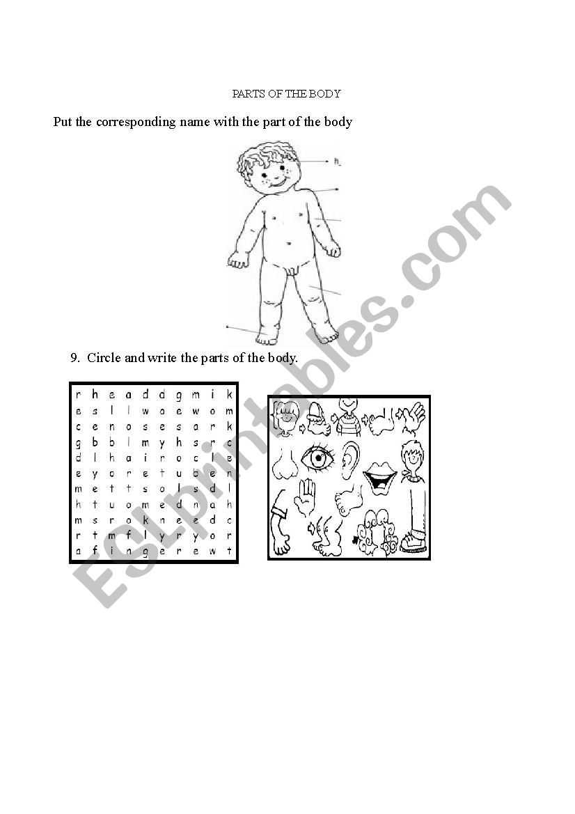 Parts of the body worksheet