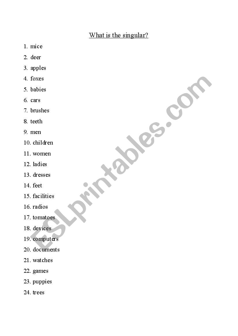 singular plural - ESL worksheet by abikman