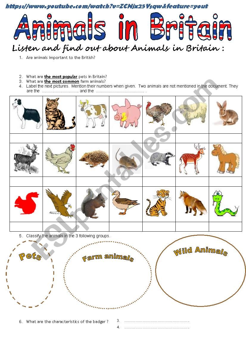 video - Animals in Britain worksheet