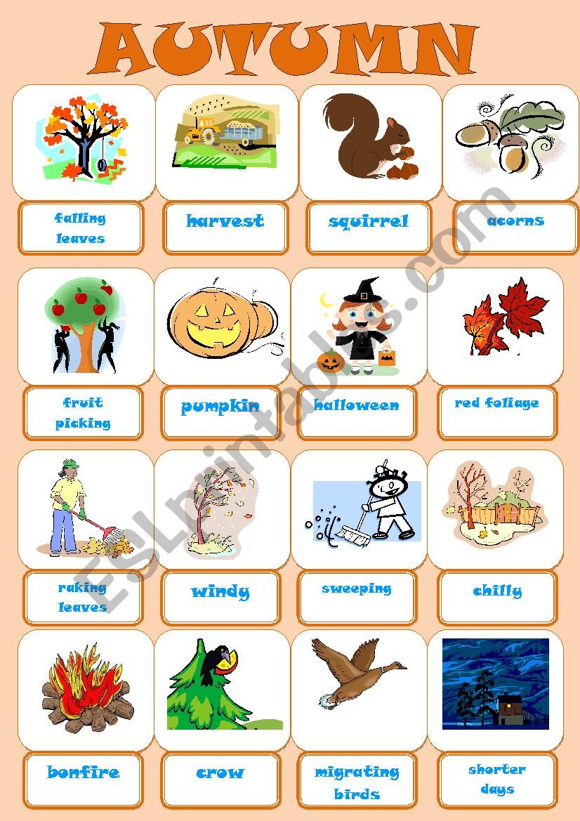 AUTUMN PICTIONARY worksheet