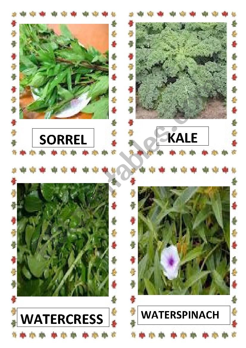 VEGETABLES PART-15 worksheet