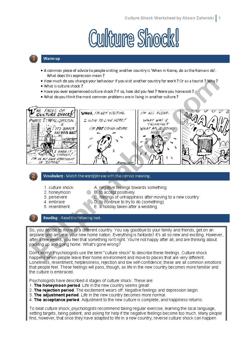 Culture Shock!! worksheet