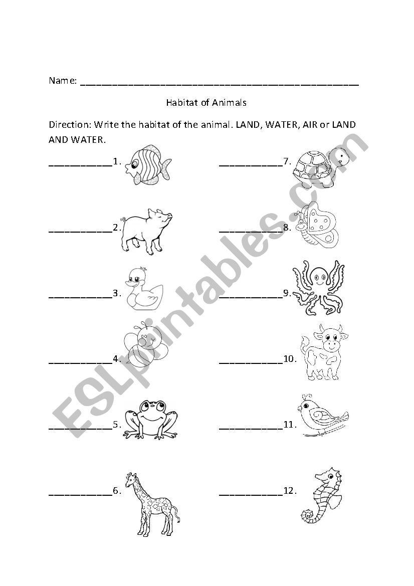 habitat of animals worksheet