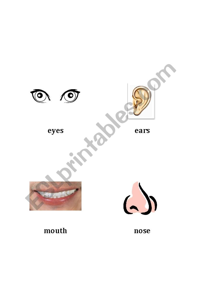 Body Parts Cards worksheet