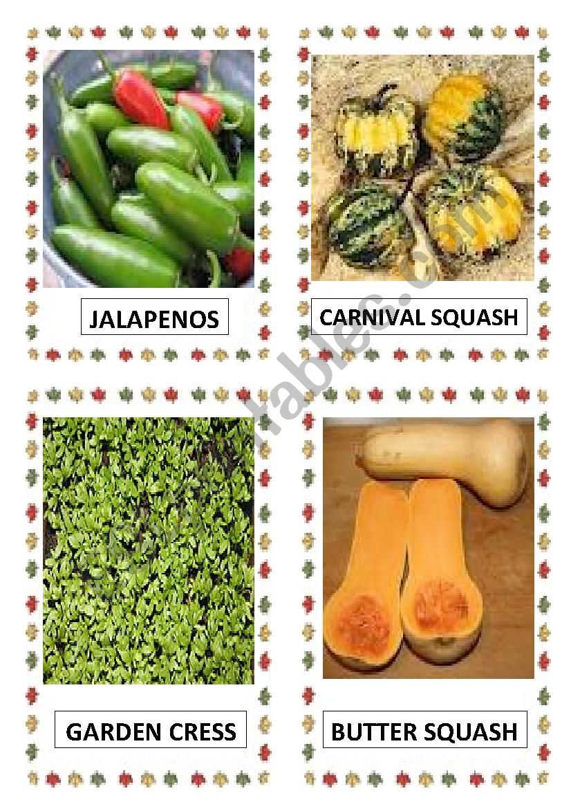 VEGETABLES PART-24 worksheet