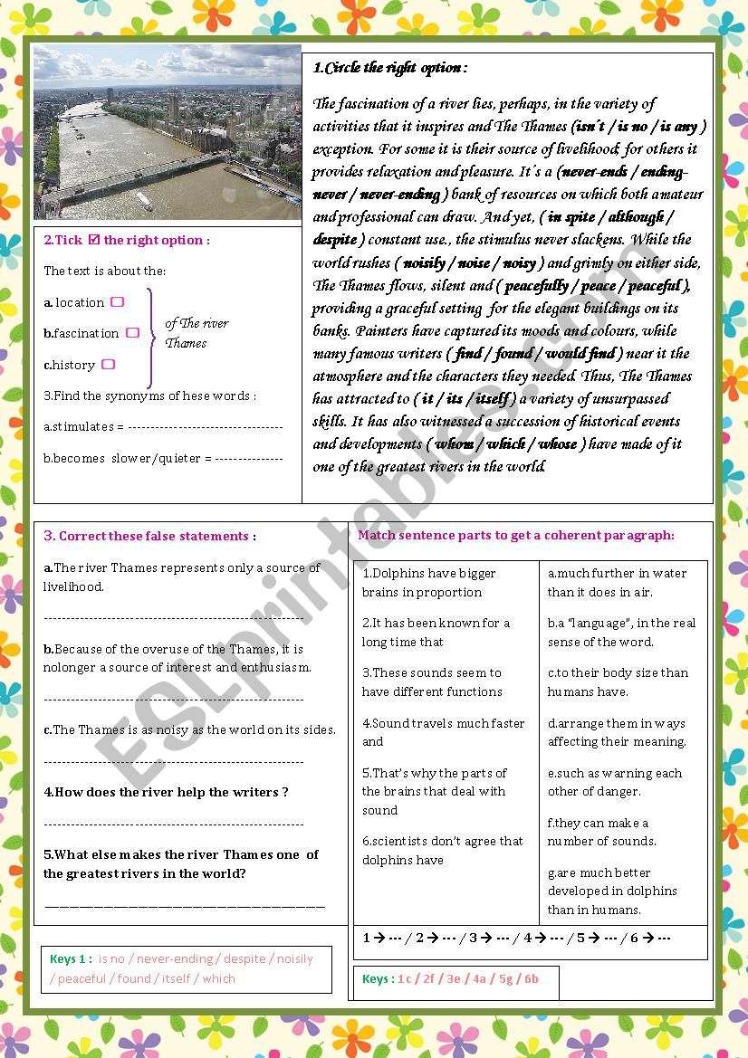 The river Thames worksheet