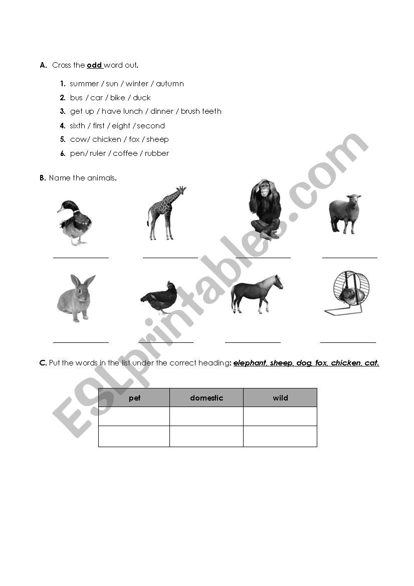 English test 2/3 worksheet