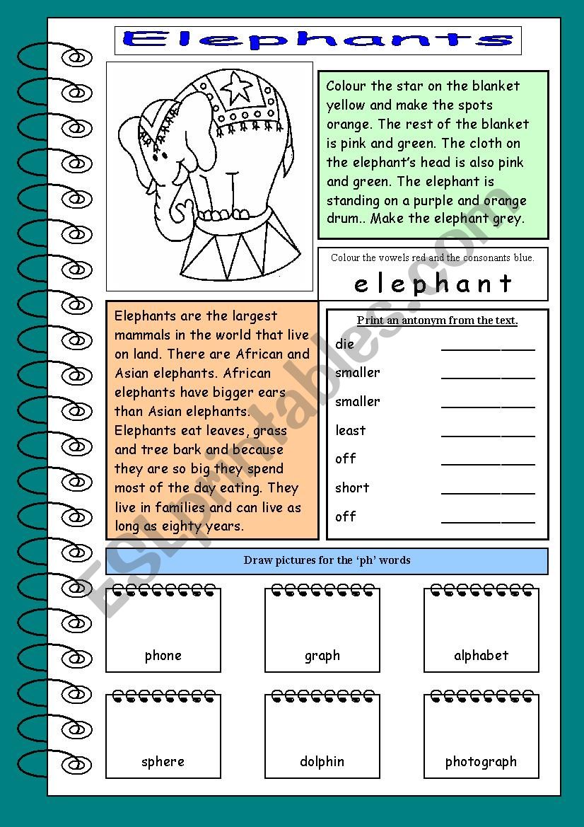 Working with words worksheet