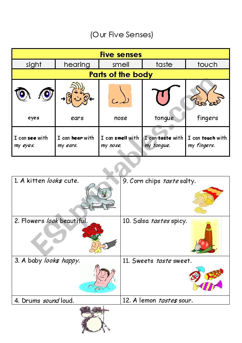 Our Five Senses worksheet