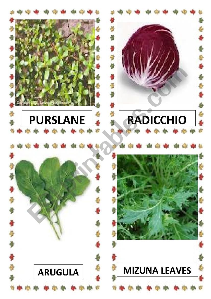 VEGETABLES PART-26 worksheet