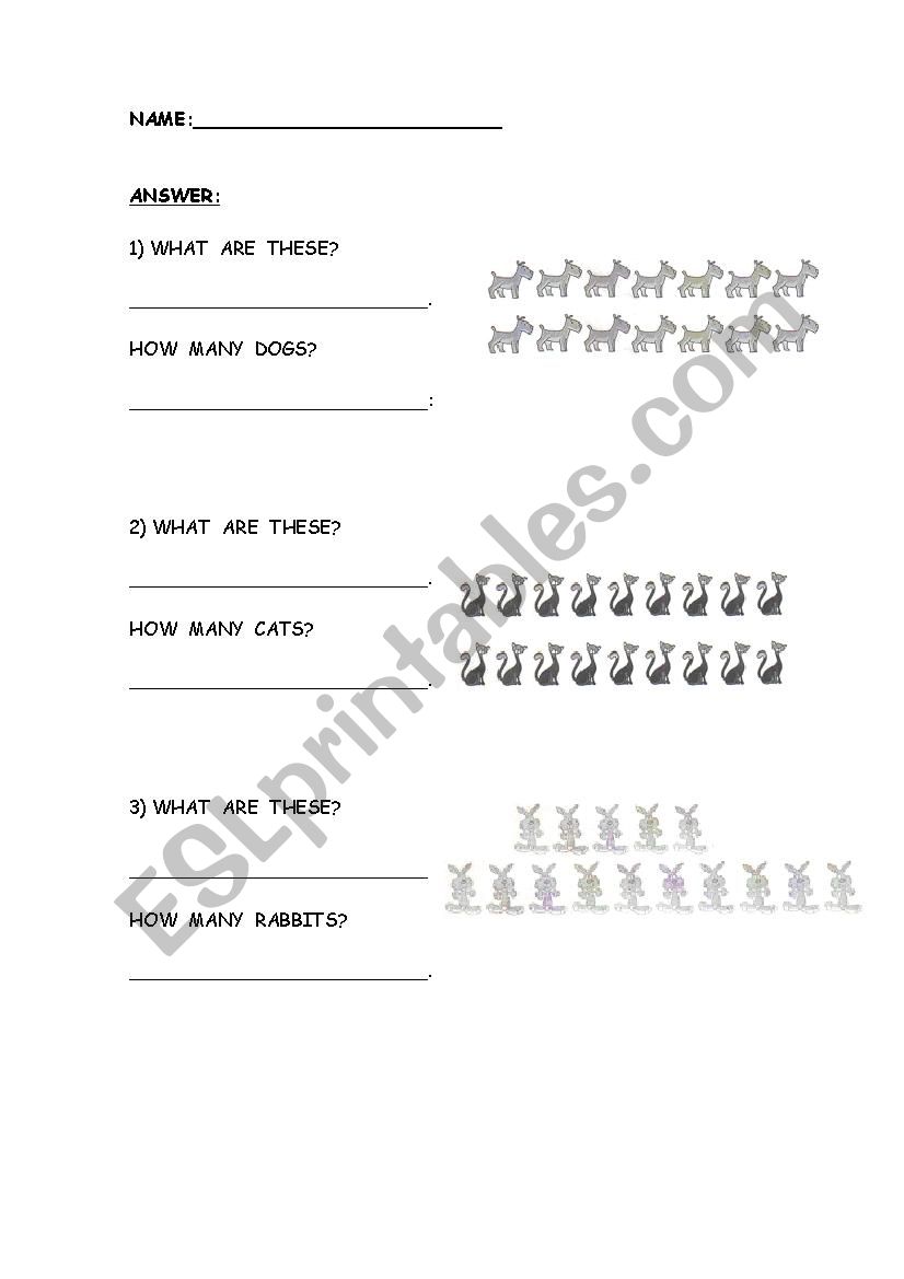 revision of  numbers worksheet