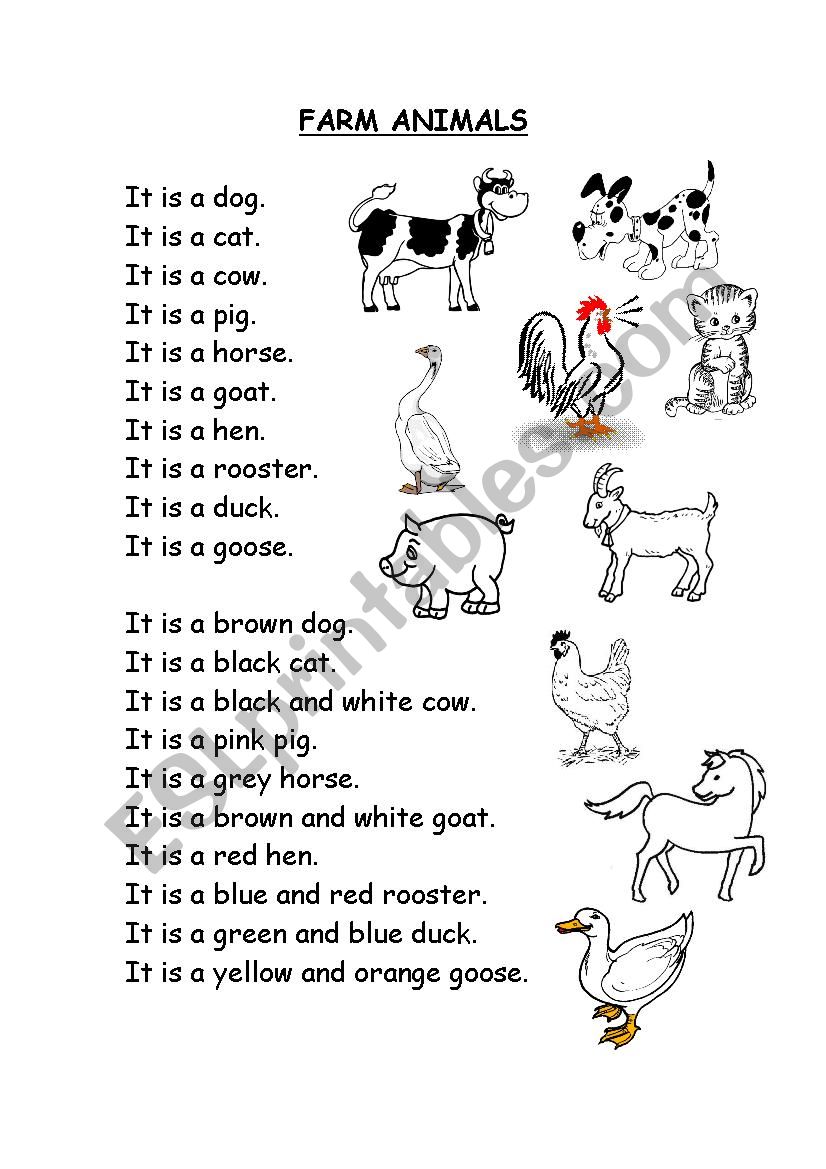 Reading: Farm Animals worksheet