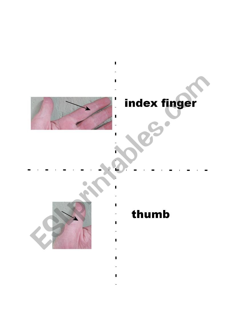 Parts of the Hand  Flash cards part 1