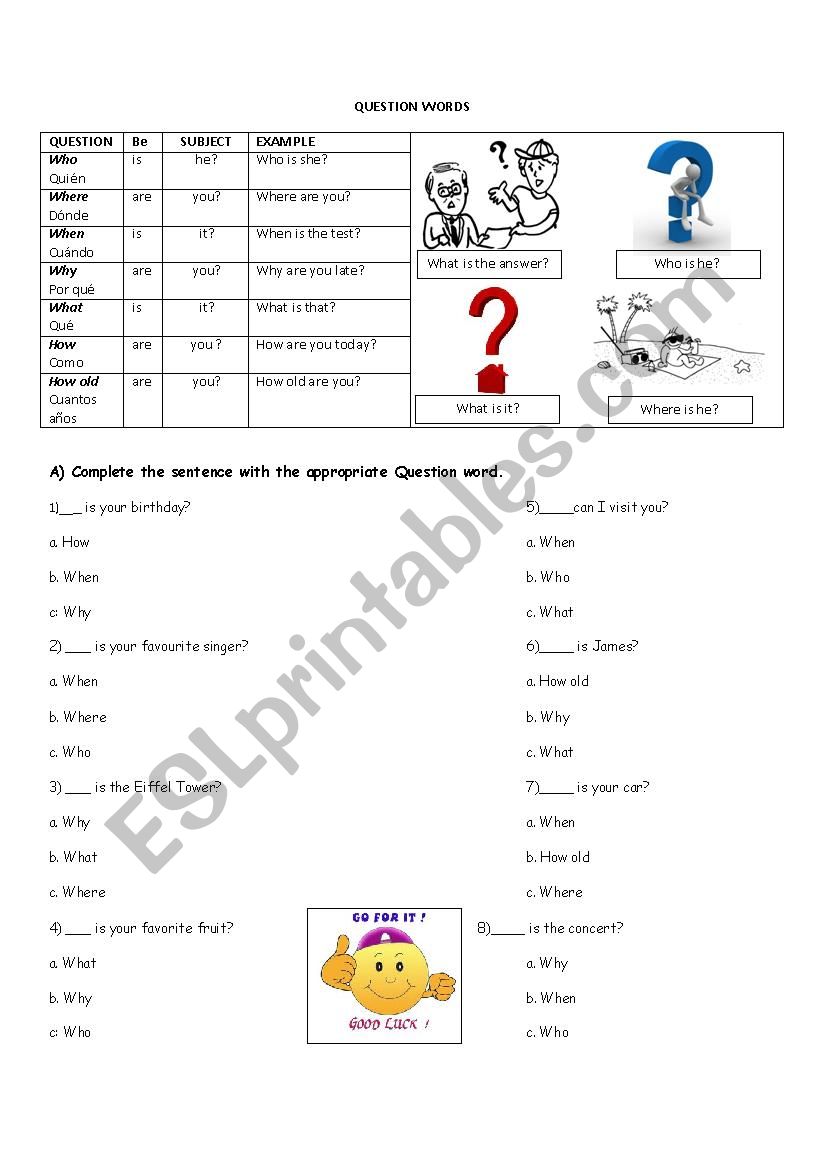 WH qustions worksheet worksheet