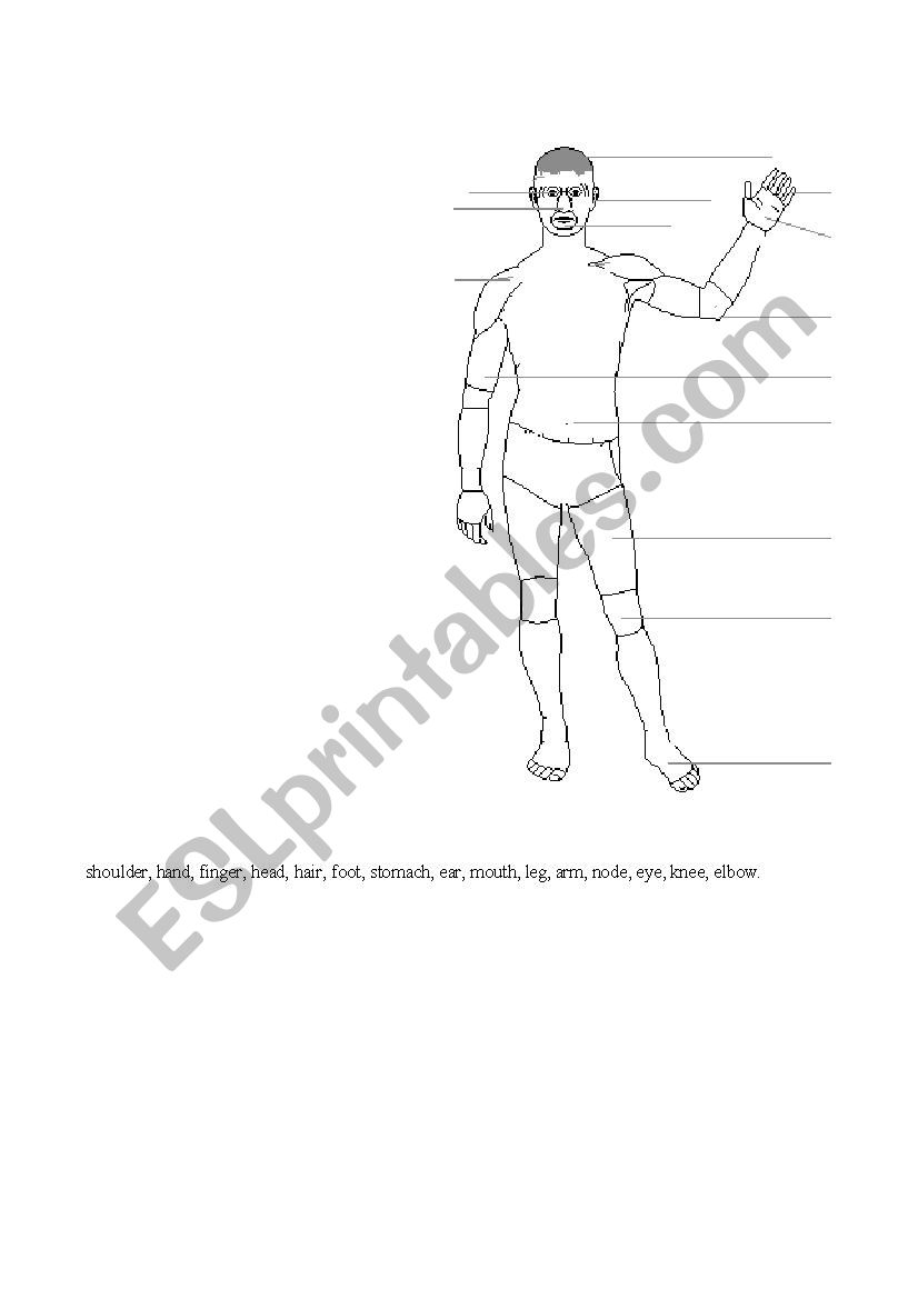 Part of body worksheet