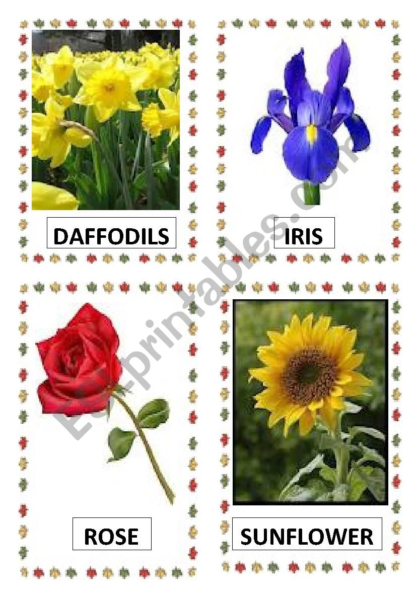 FLOWERS PART-1 worksheet