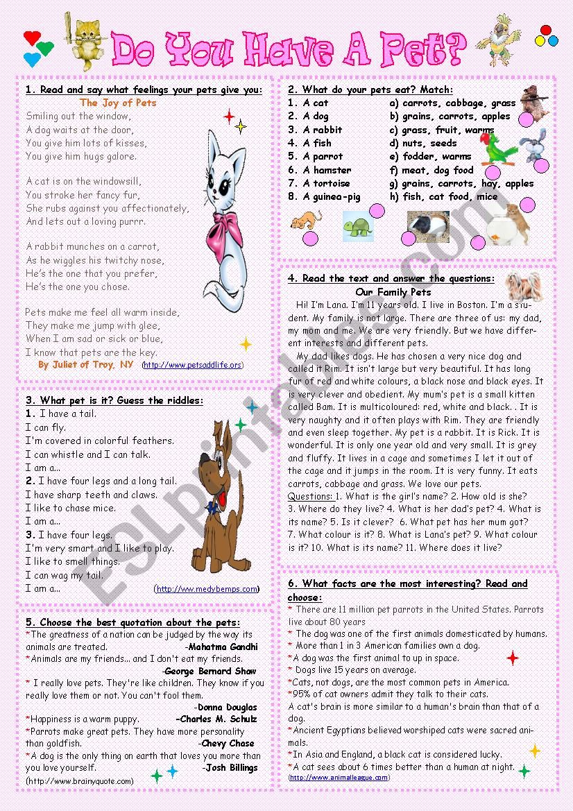 Do you have a pet? worksheet