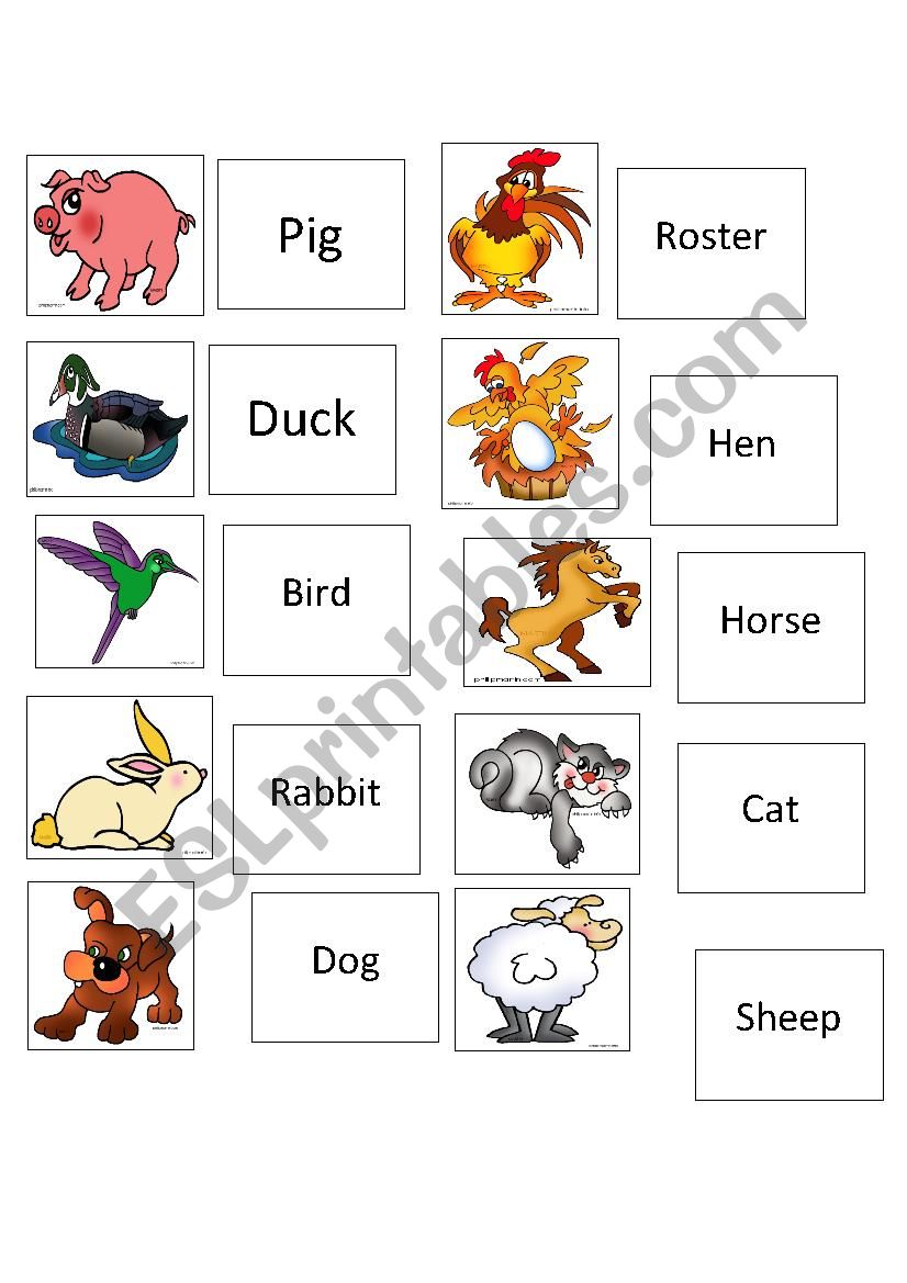 memory animals game worksheet