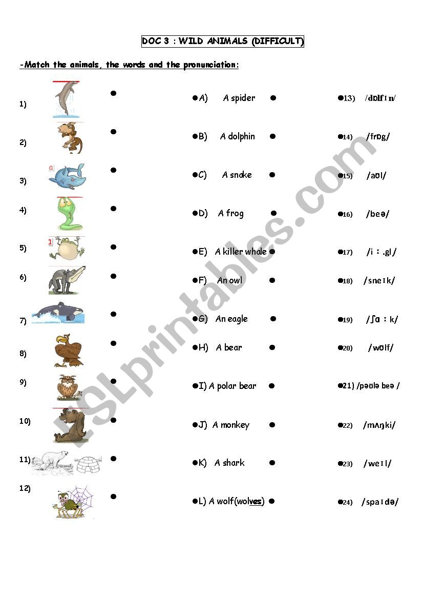 wild animals part 2 worksheet