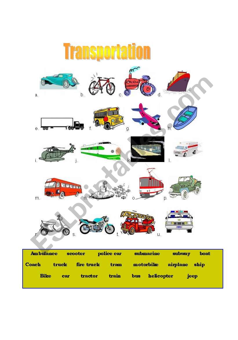 Transportation 1/2 worksheet