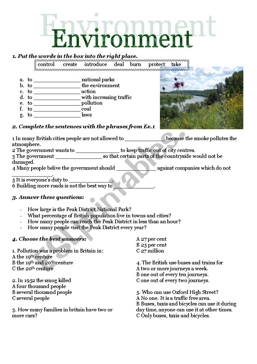 Environment worksheet