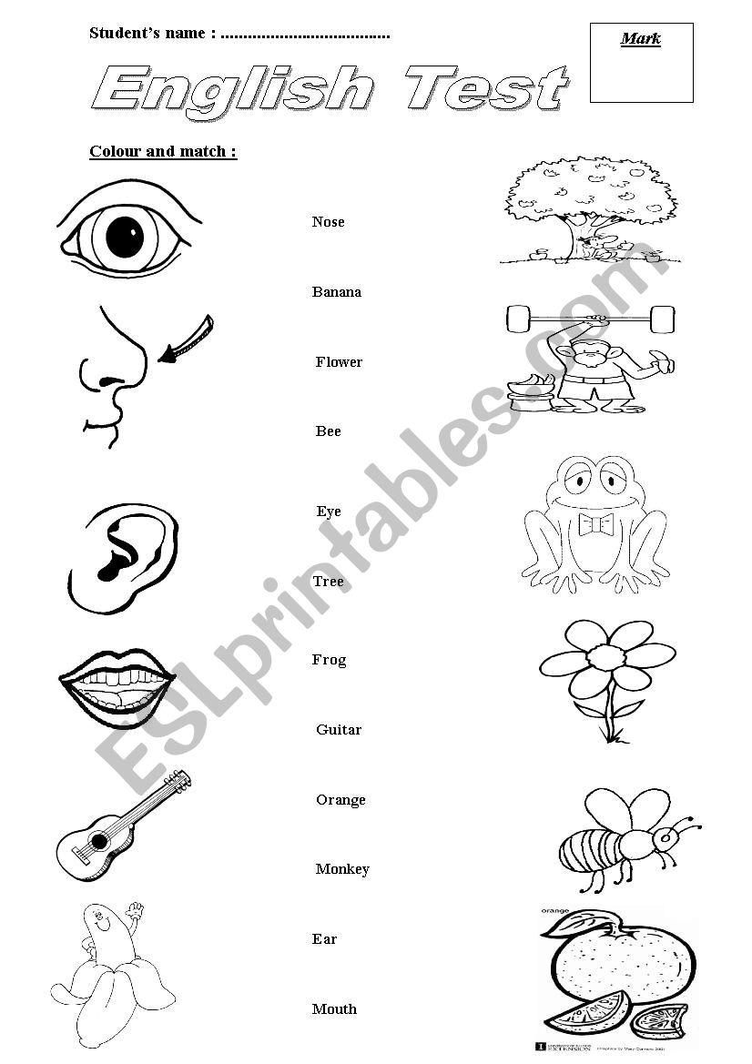 Test CP worksheet