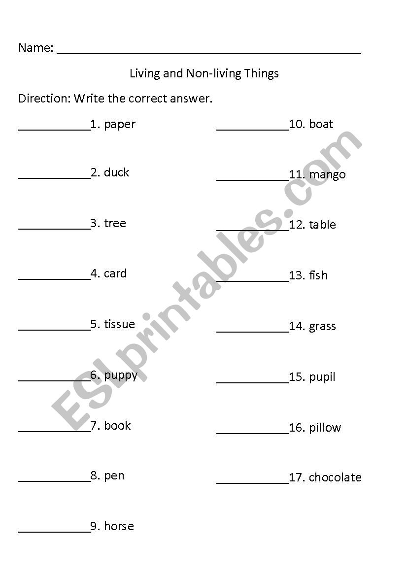 Living and Non-Living worksheet