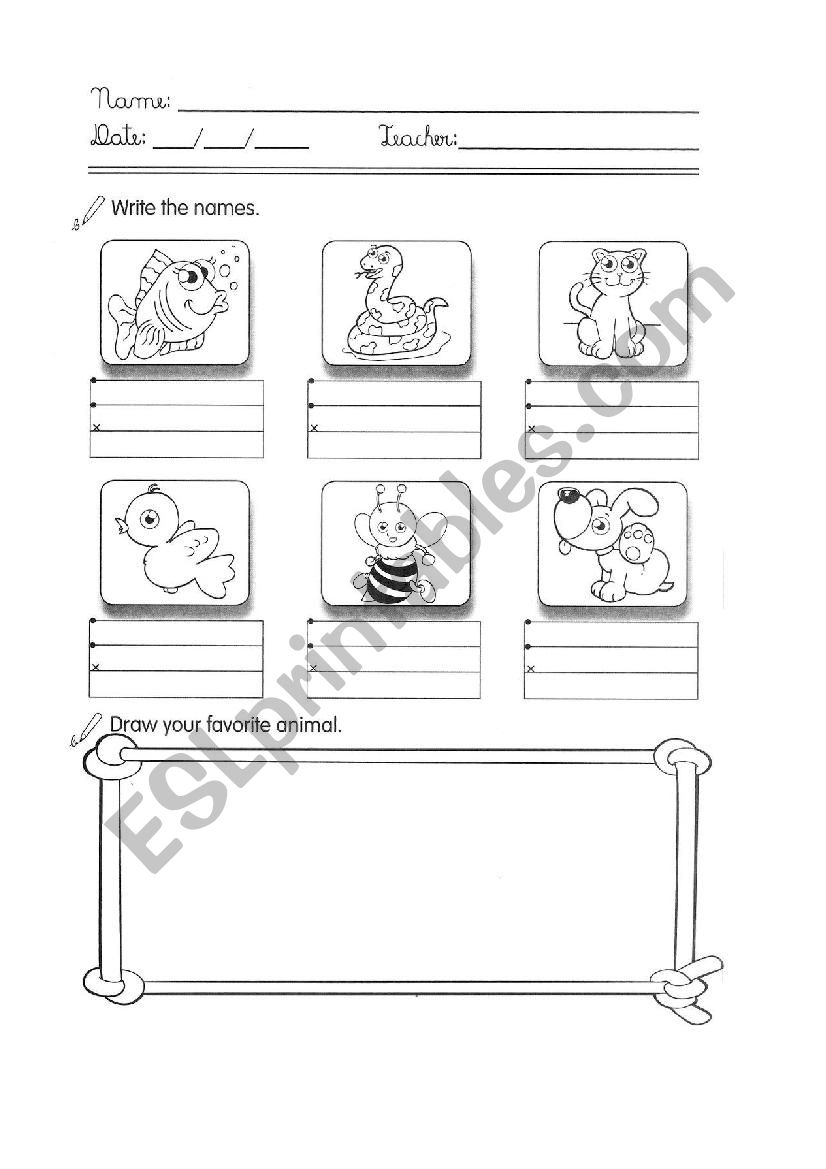 Animais worksheet