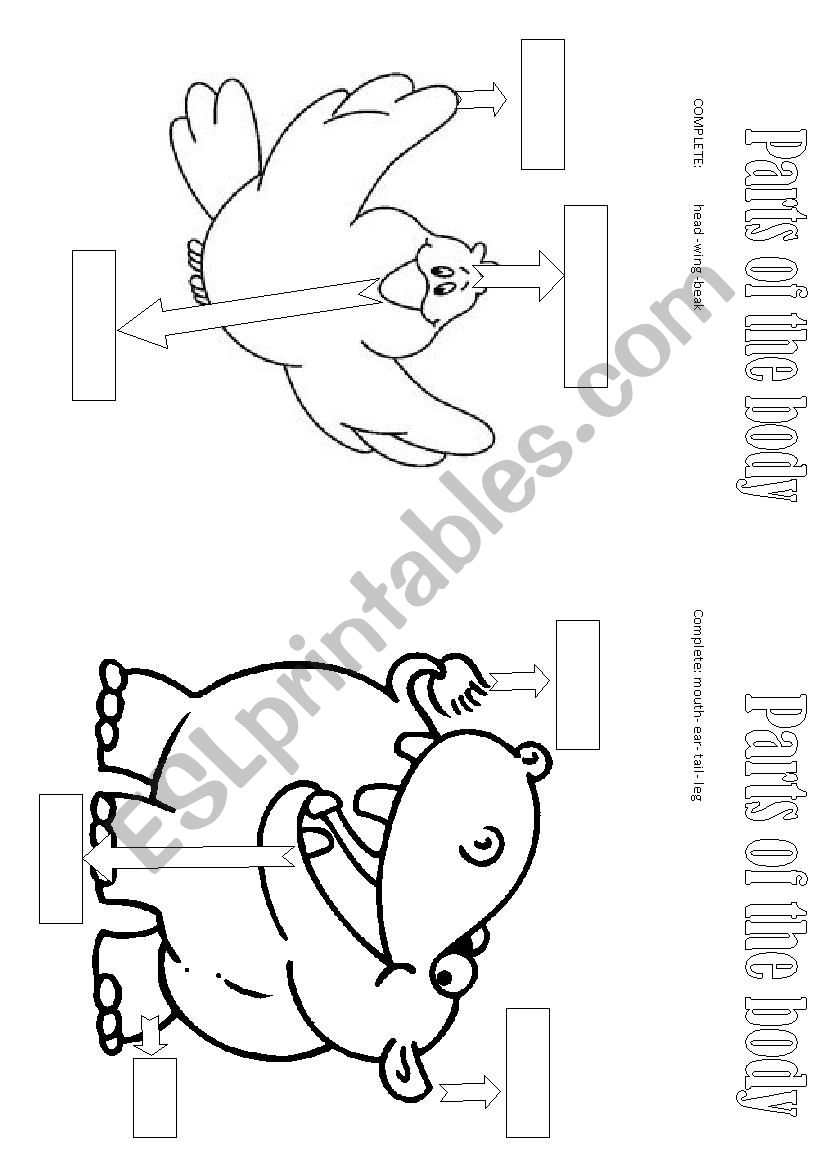 PARTS OF THE BODY worksheet