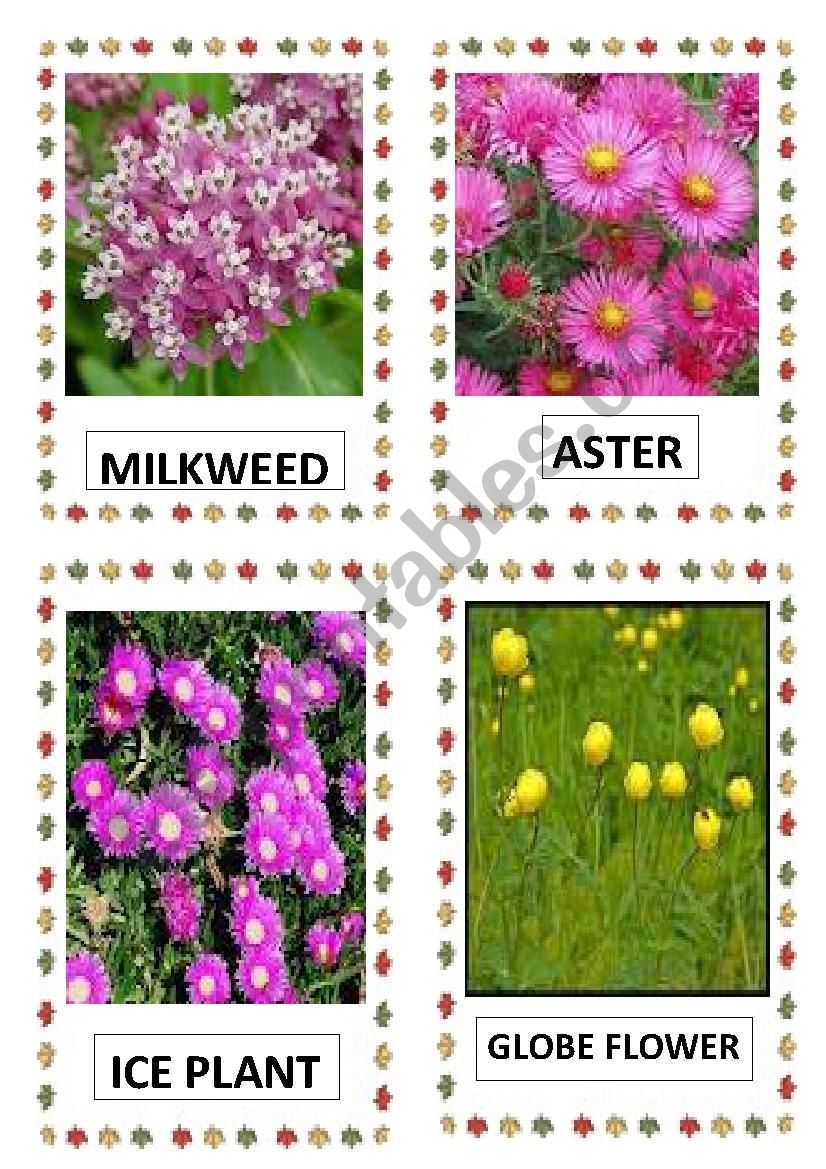 FLOWERS PART-15 worksheet