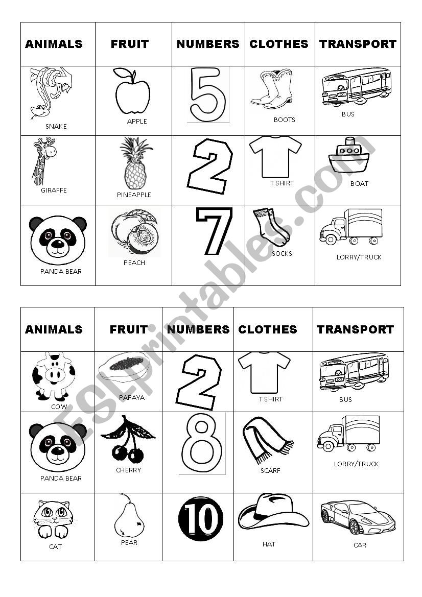 VOCABULARY BINGO 5 OF 8 worksheet