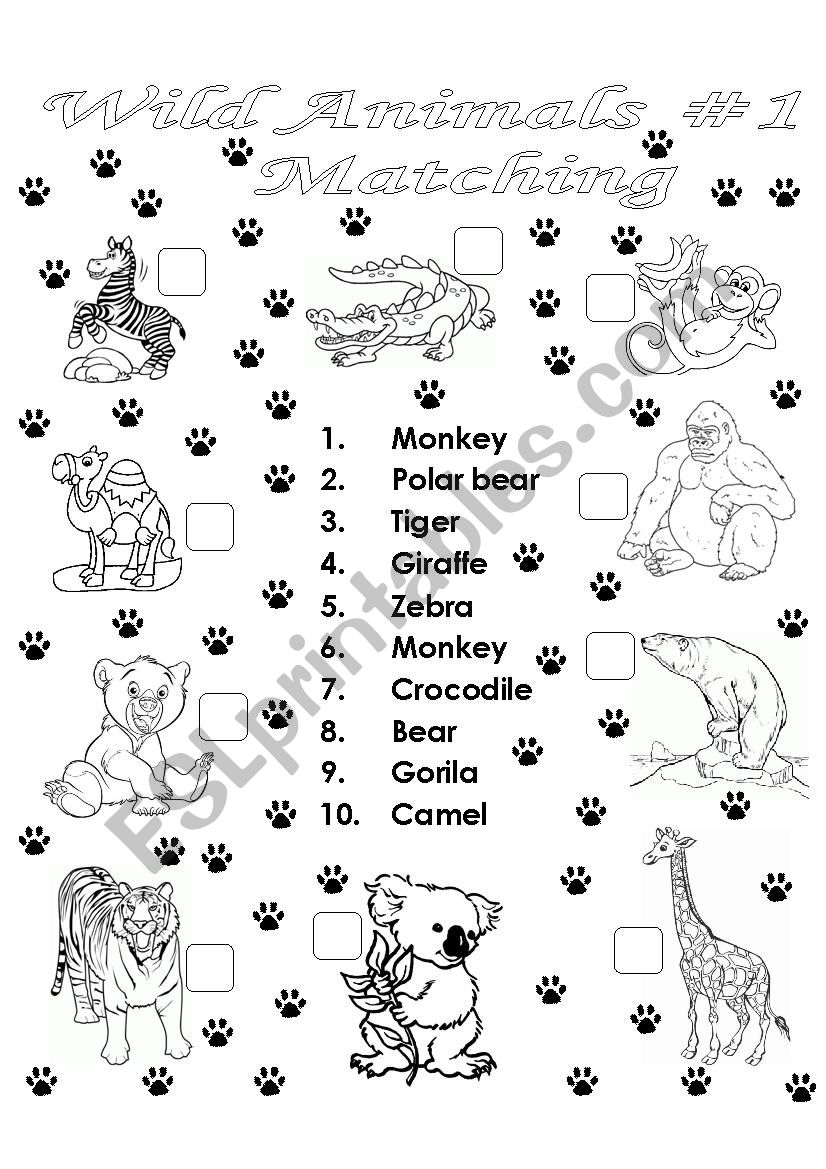 Wild Animals MATCHING #1 worksheet