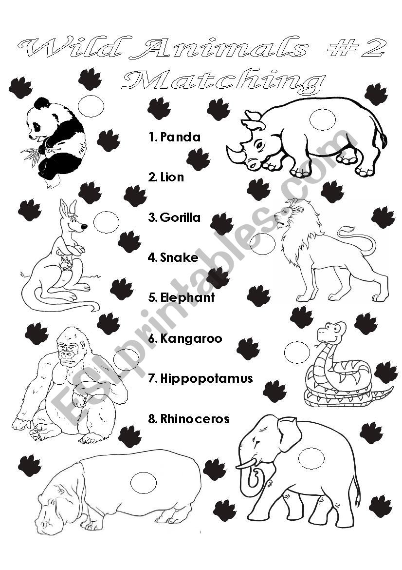 Wild Animals MATCHING #2 worksheet