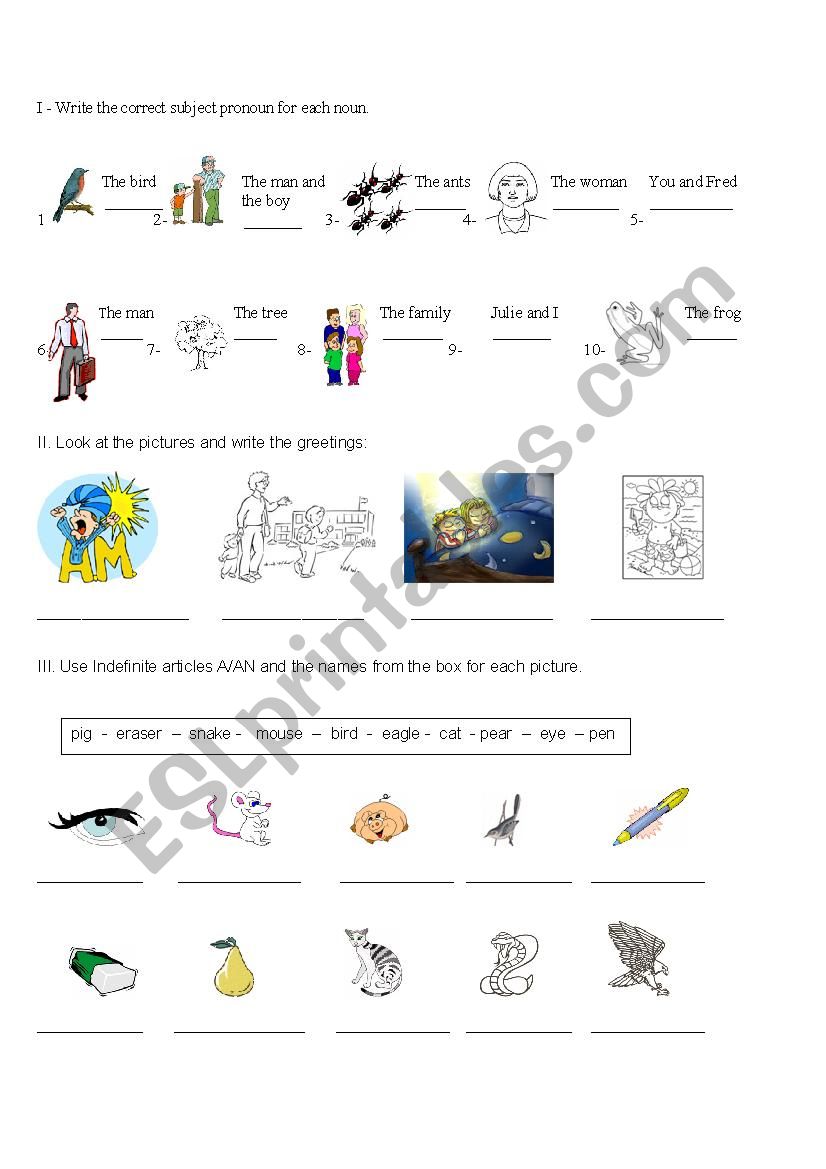 Grammar  Activity worksheet