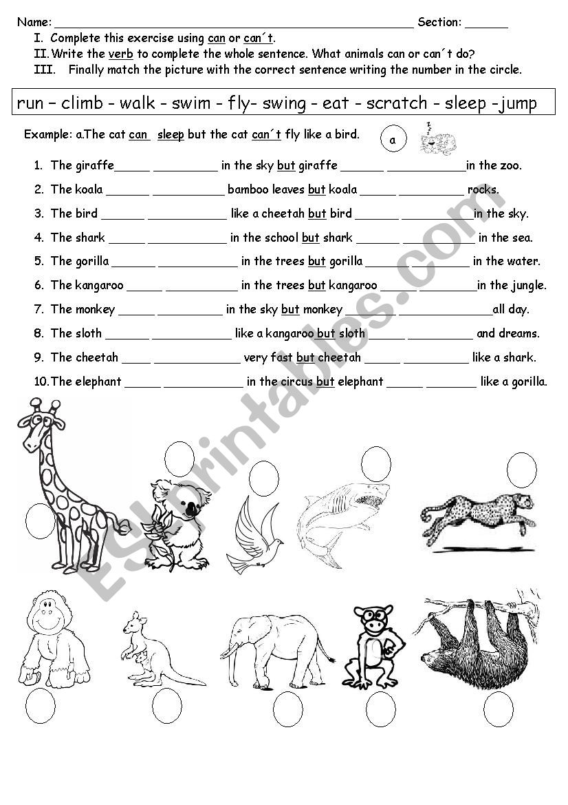 Using can or cant worksheet