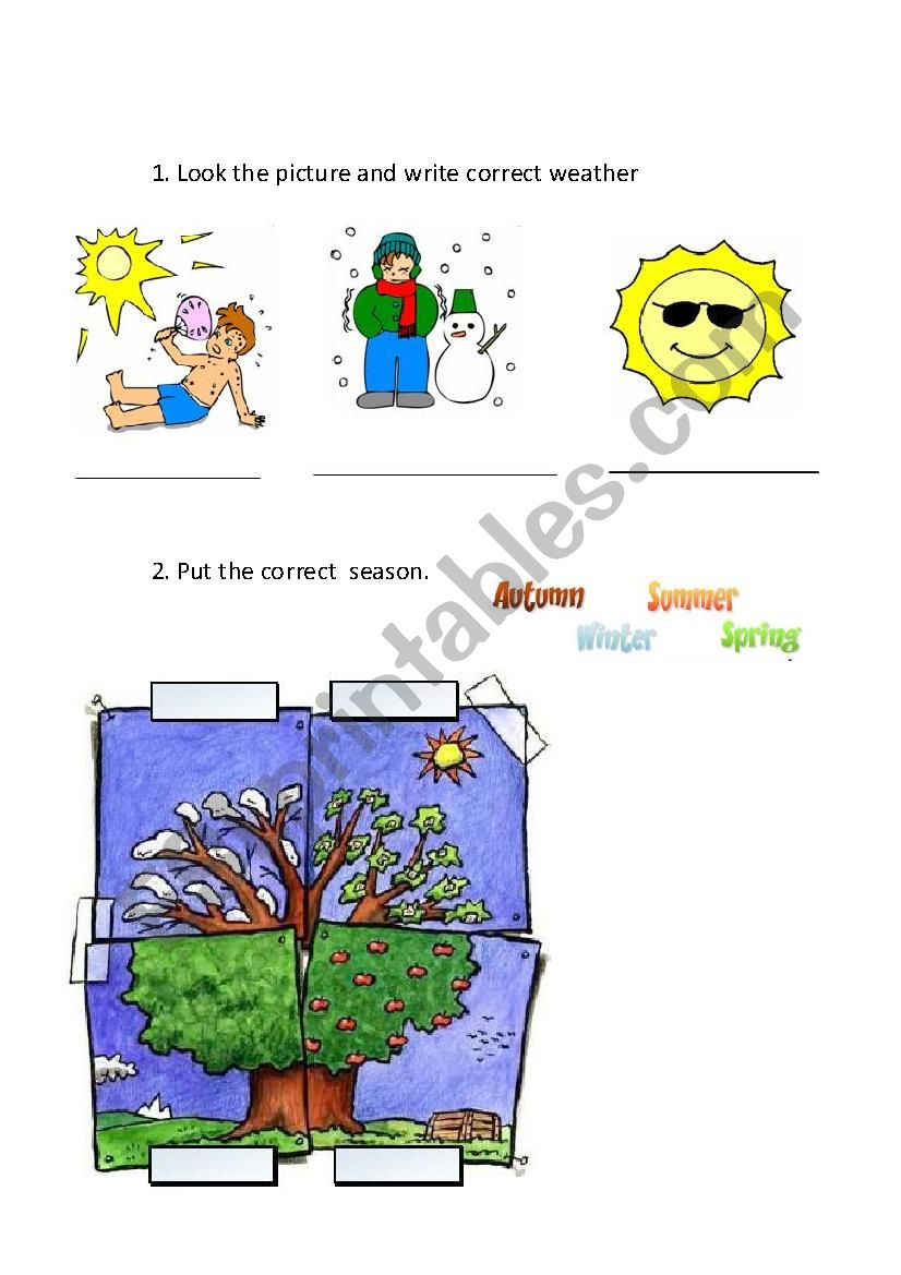 seasons and weather  worksheet