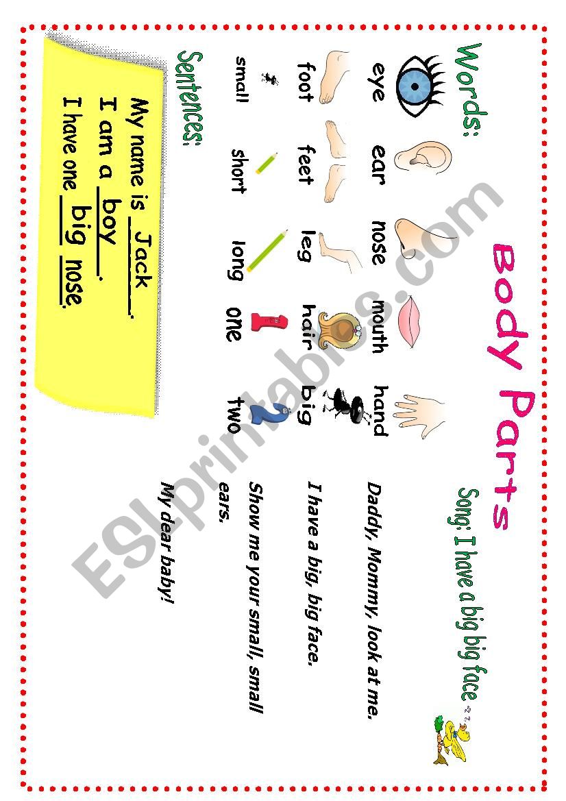 body parts worksheet