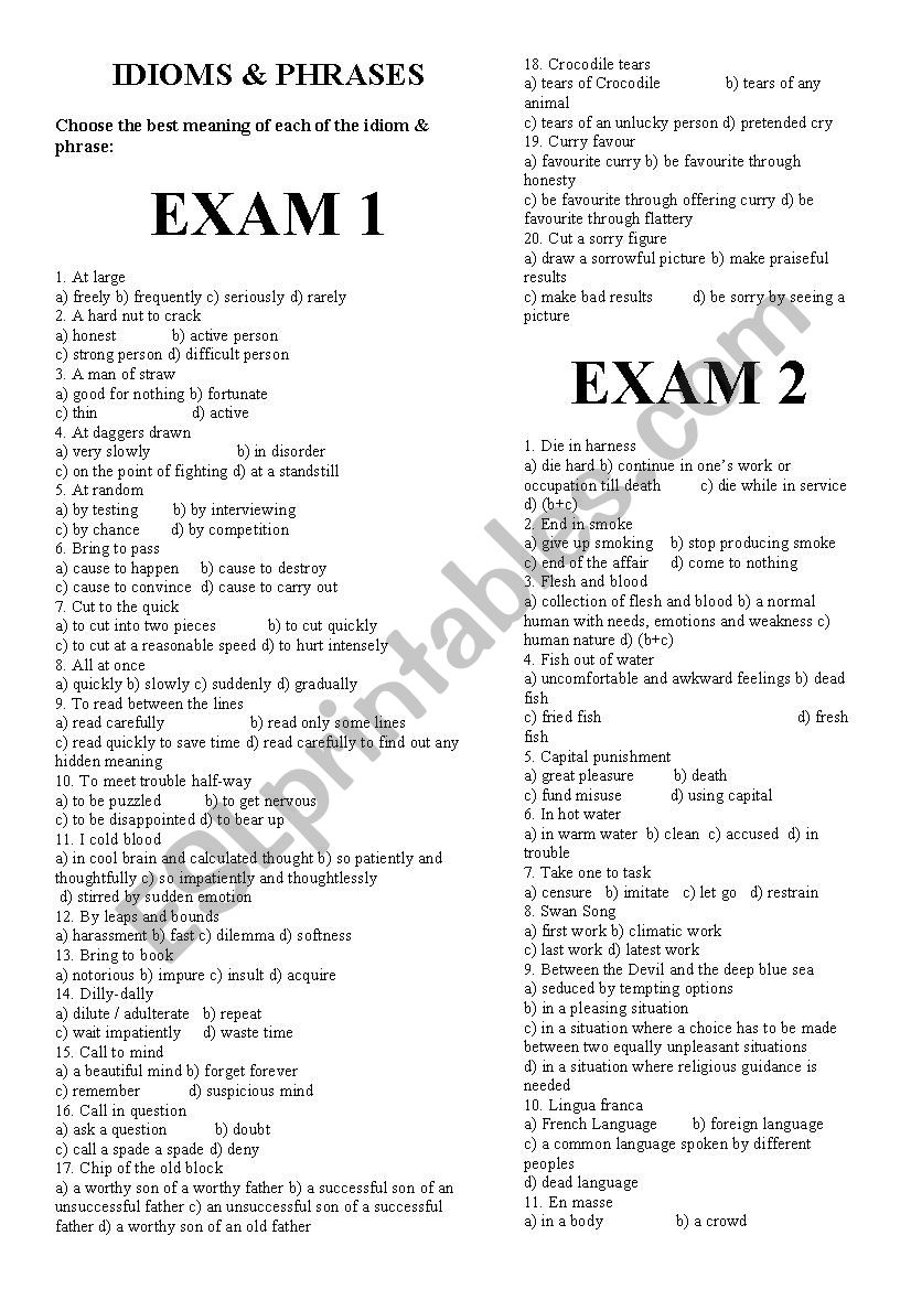 Idioms & Phrases worksheet