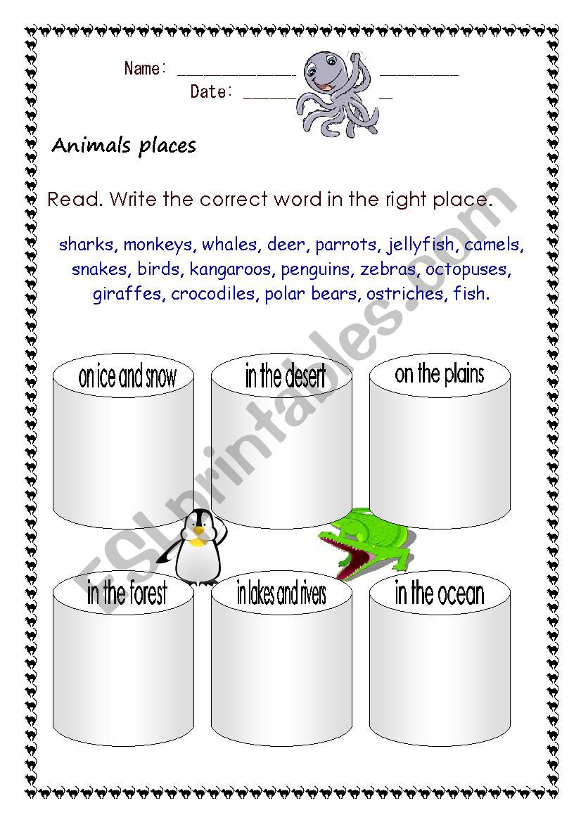 Animals Places worksheet