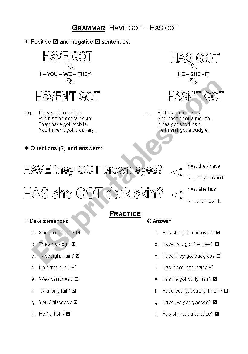 Have/Has got worksheet