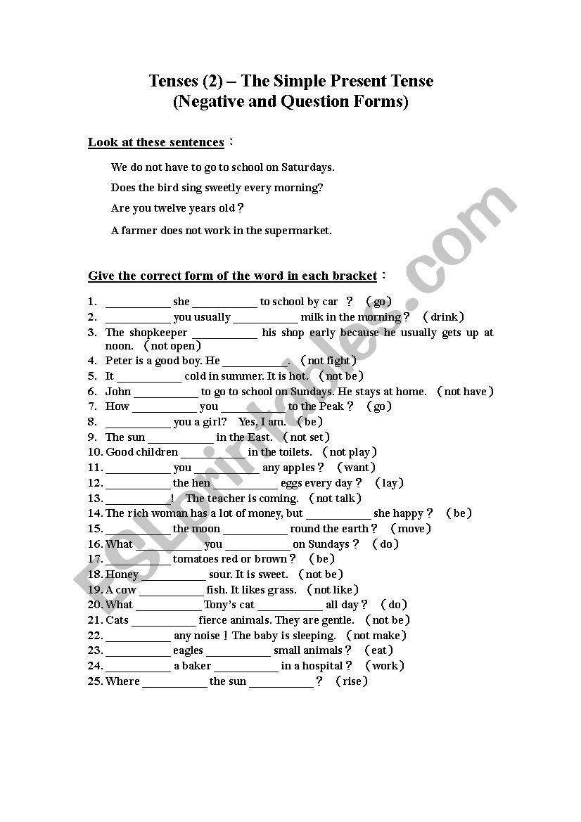 Nagative Simple Present Tense worksheet