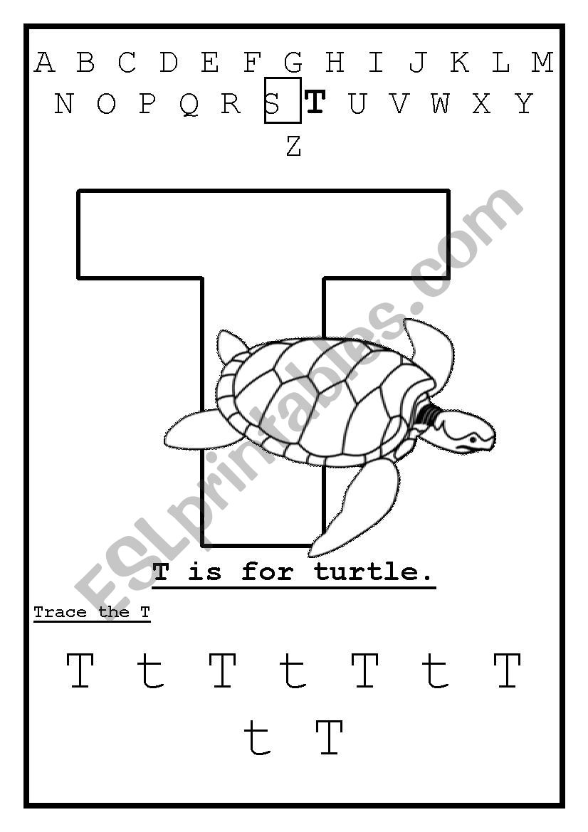 Letter T worksheet