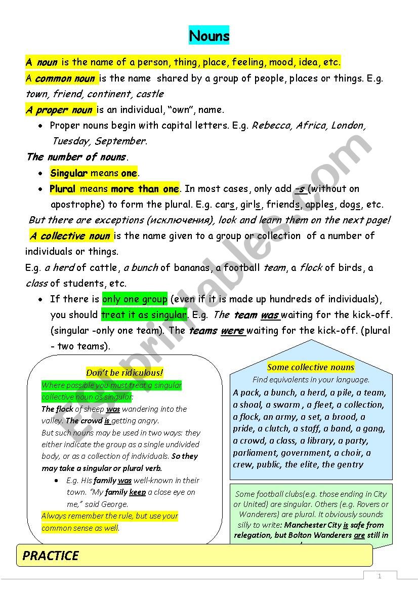 Plural and collective nouns worksheet